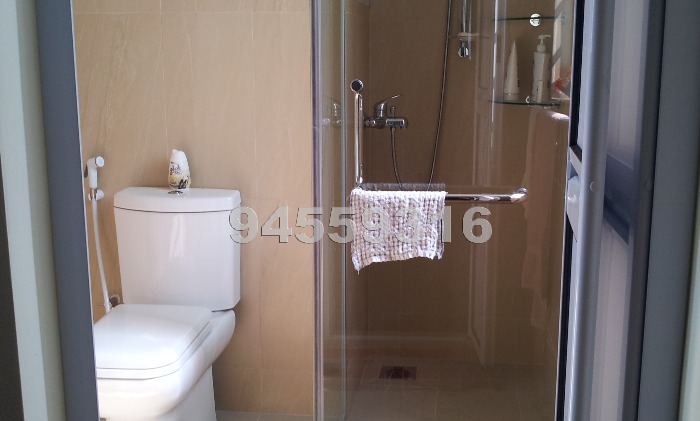 Pacific Mansion (Enbloc) (D9), Condominium #432482